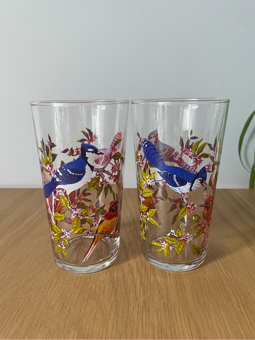 Vintage Midcentury Luminarc Floral Bird  Glass Tumblers 60s 70s France Set of 2